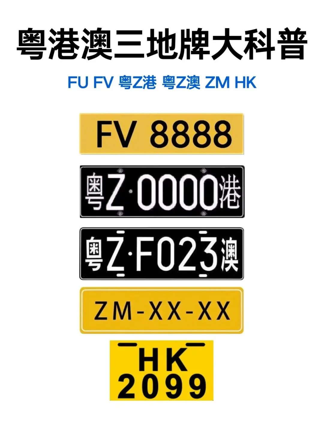 粤港两地车牌（FV和粤Z）是粤港澳大湾区融合的独特标识